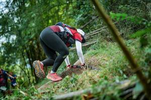 BIB: 
                            <button type="button" onclick="openModal(19434186)" class="btn btn-primary btn-sm float-right btn-popup" data-toggle="modal" data-target=".modal-high-quality">
                        <i class="fas fa-shopping-cart"></i> Add to Cart
                    </button>
                                            <button type="button" onclick="isThisMe(19434186, true)" class="btn btn-success btn-sm float-right btn-popup btn-isme hidden" data-toggle="tooltip" data-placement="bottom" title="นี่คือรูปของคุณใช่ไหม คลิกที่นี่เพื่อเอาเข้าอัลบั้ม">
                        <i class="fas fa-plus"></i> Add to album
                    </button>
                    <button type="button" onclick="isThisMe(19434186, false)" class="btn btn-warning btn-sm float-right btn-popup btn-isnotme hidden">
                        <i class="fas fa-ban"></i> Remove from album
                    </button>